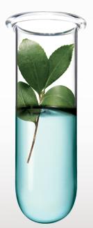 reprezentant oriflame, inscrieri oriflame, client direct oriflame, produse cosmetice, catalog online